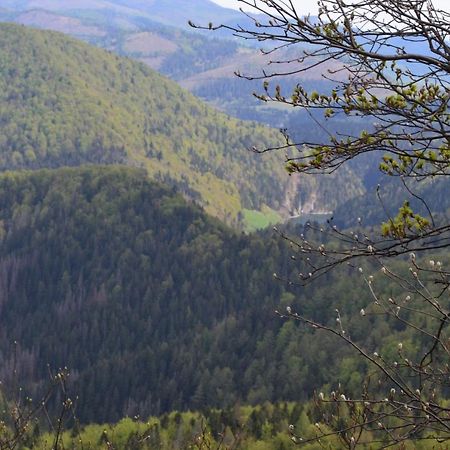 Penzión Thamasy Spisske Tomasovce Exterior foto