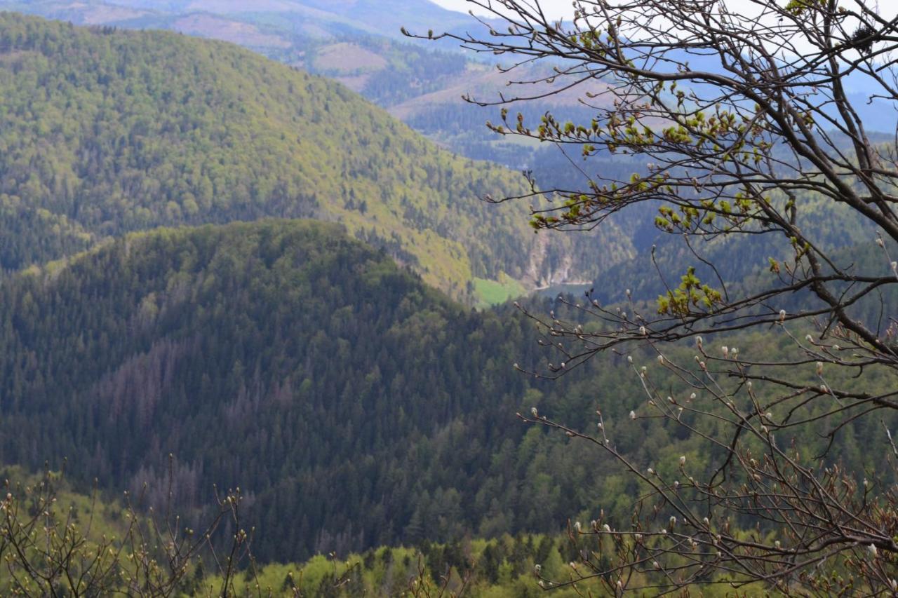Penzión Thamasy Spisske Tomasovce Exterior foto