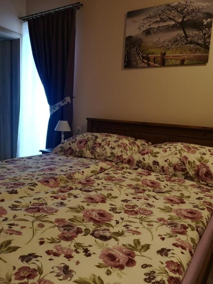 Penzión Thamasy Spisske Tomasovce Exterior foto