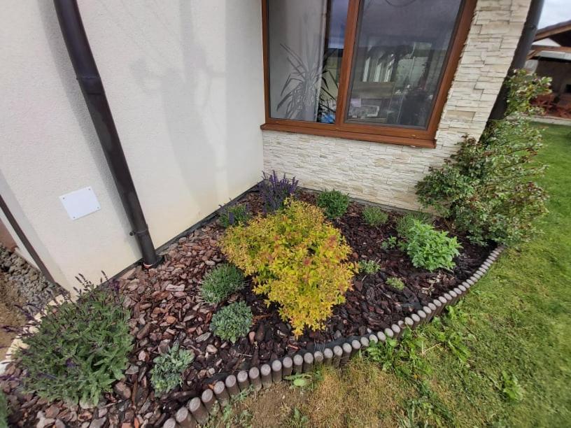 Penzión Thamasy Spisske Tomasovce Exterior foto