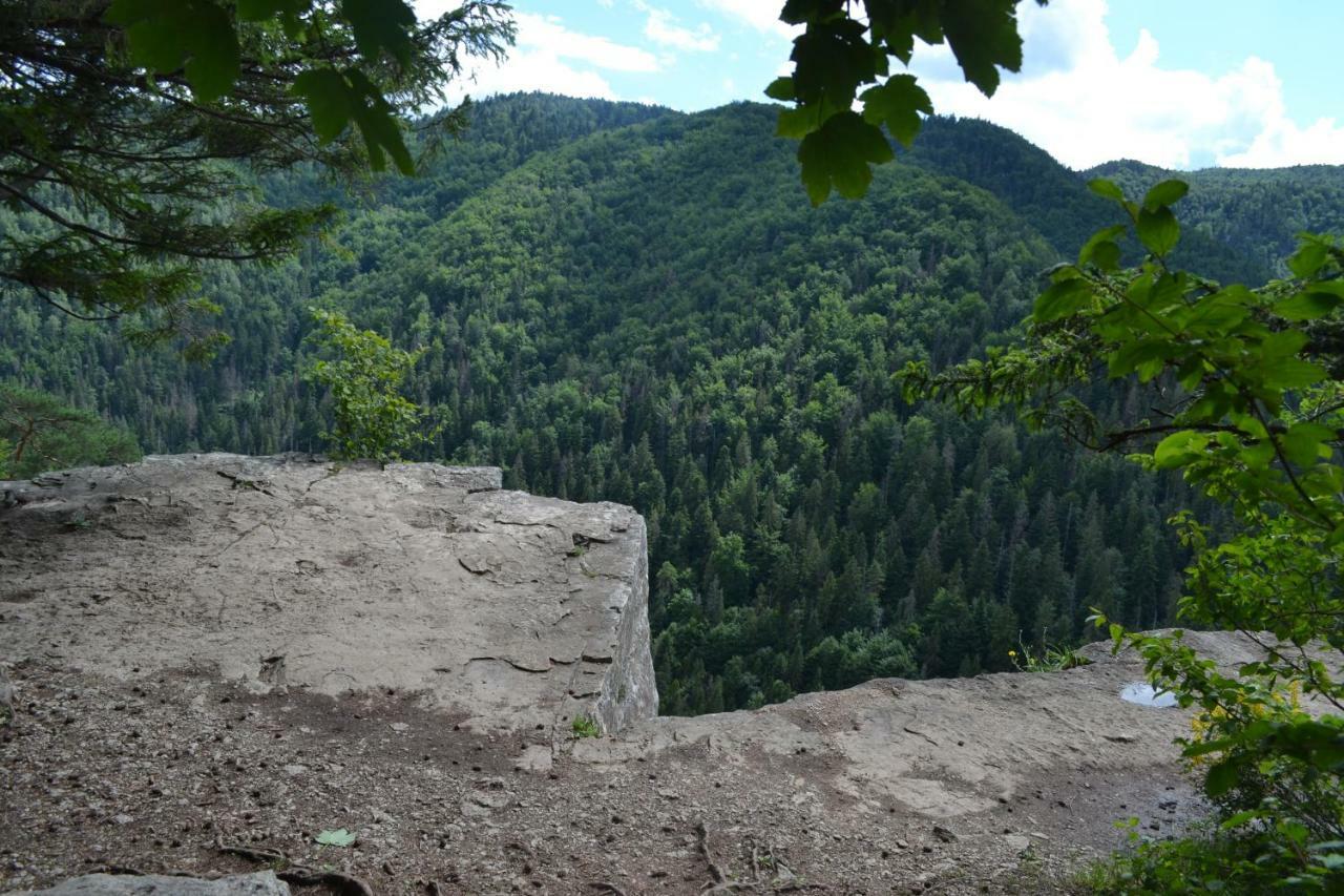 Penzión Thamasy Spisske Tomasovce Exterior foto
