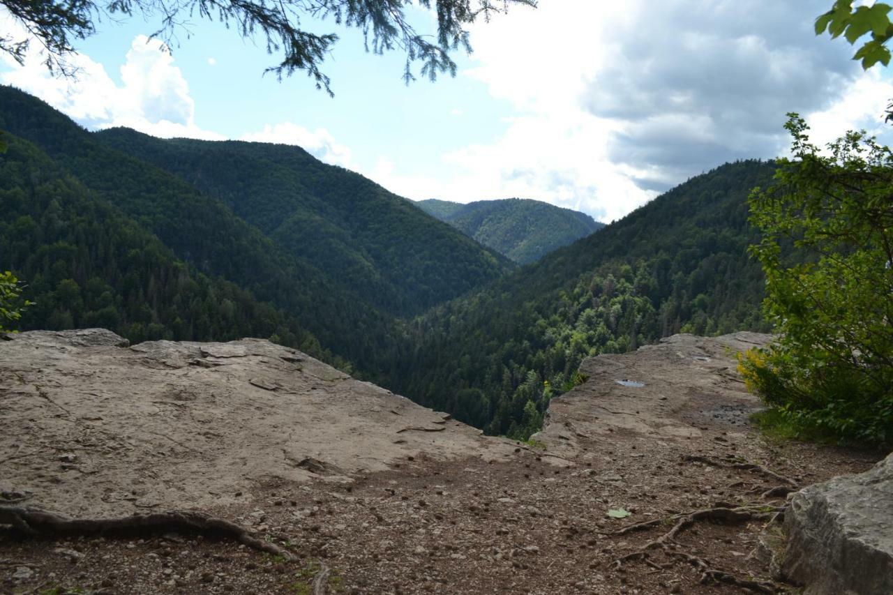 Penzión Thamasy Spisske Tomasovce Exterior foto