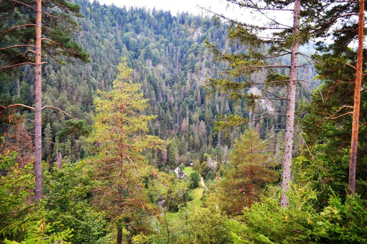 Penzión Thamasy Spisske Tomasovce Exterior foto